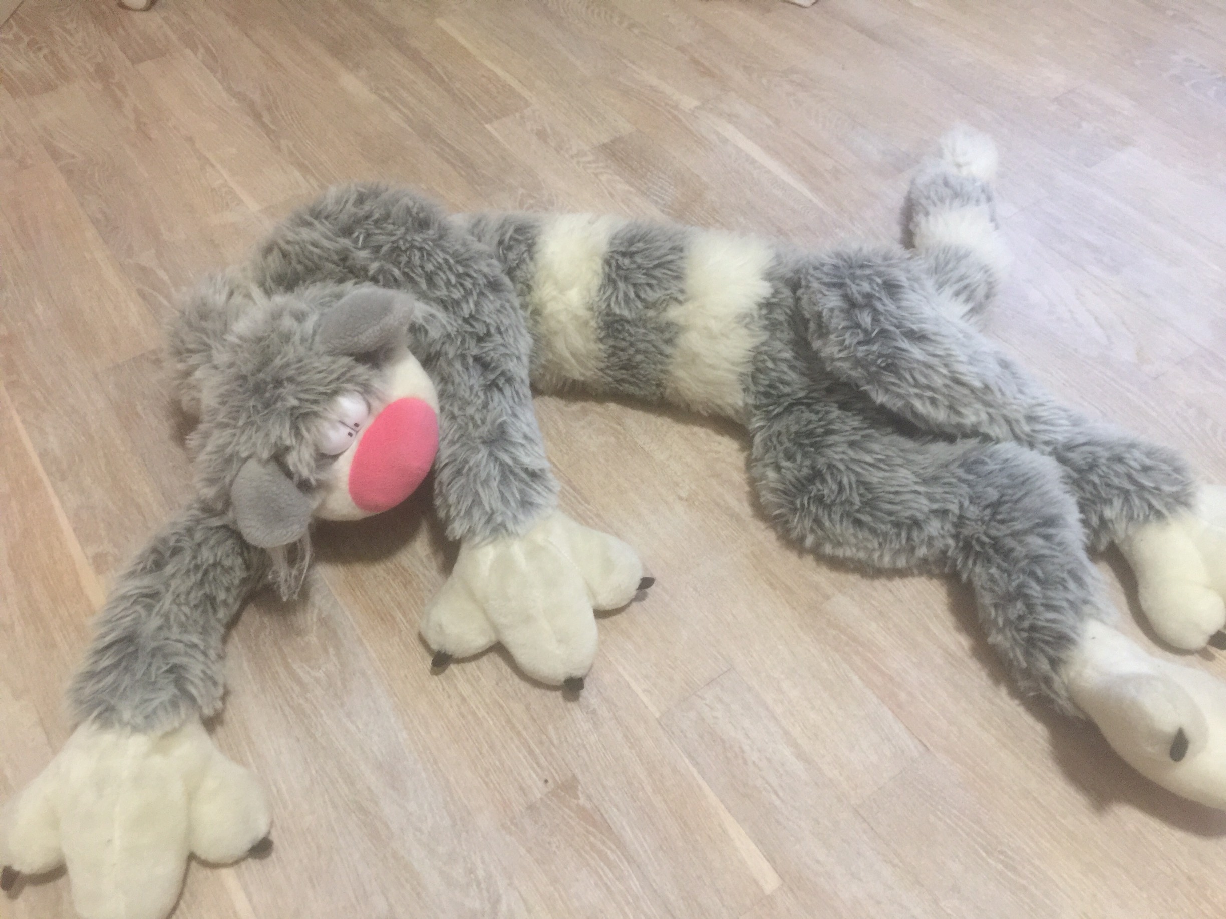 длинный кот, 1000 руб.. я-Продано