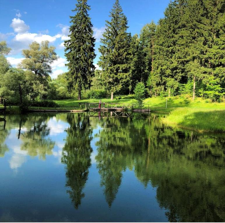 Весенние и летние каникулы в 'Великолепном лесу' Евроклуба