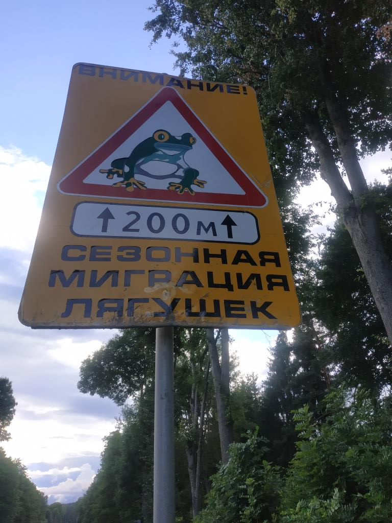 картинка картинка