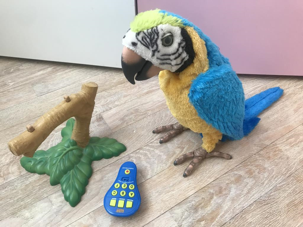 попугай Кеша, 2000р. я-Продано