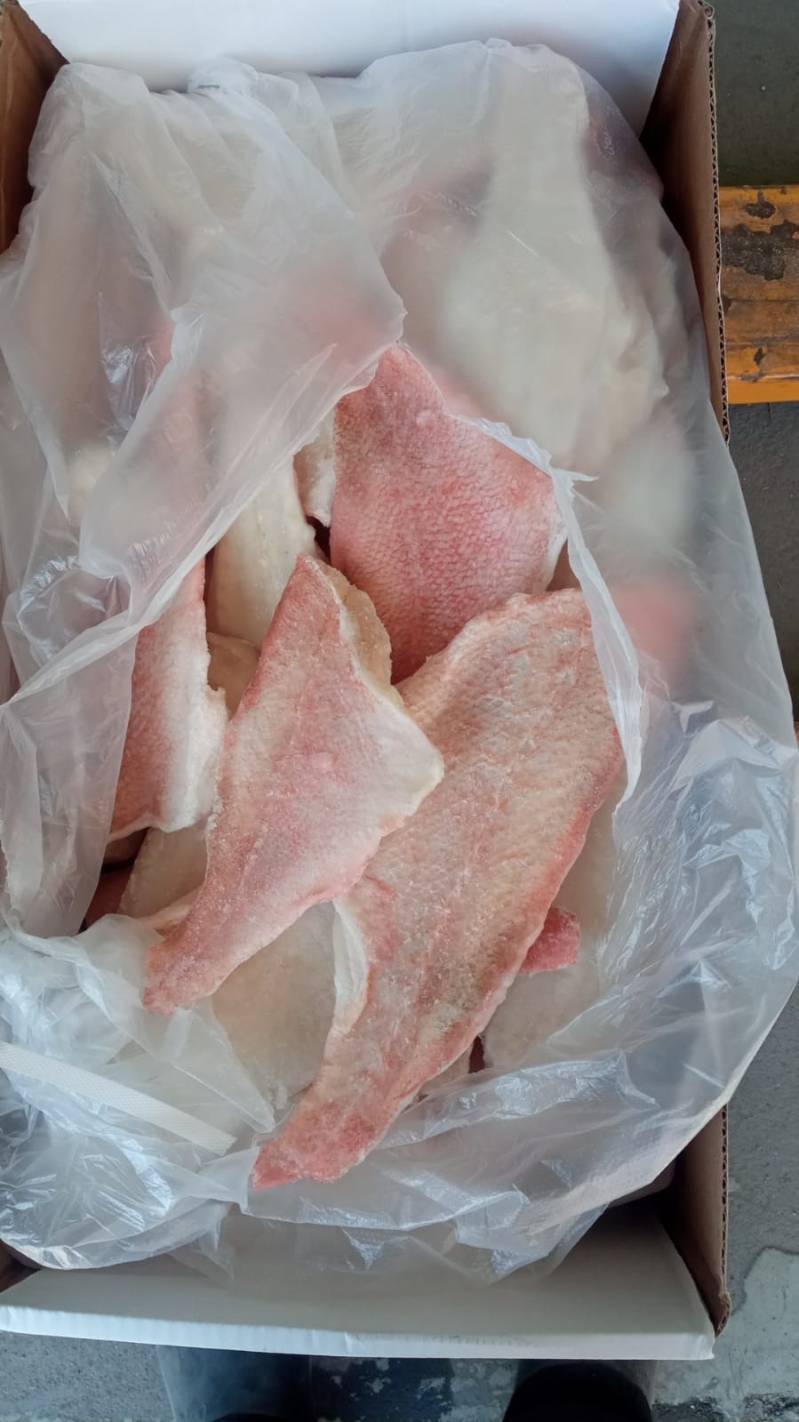 филе окуня. еда