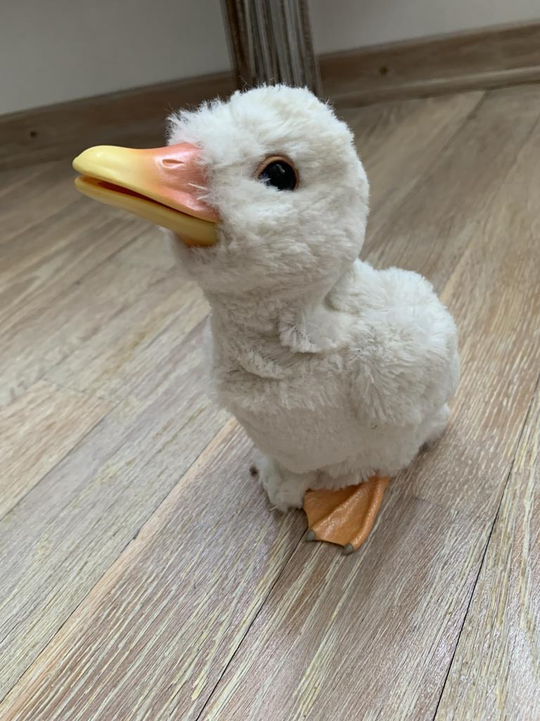 утка, 500р. я-Продано