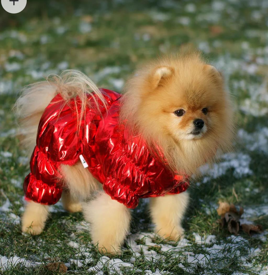 Комбинезон гламурный унисекс р.М. 