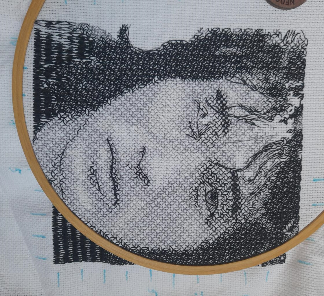 20.02.2026. Виктор Цой