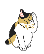 Ромашковая кошка