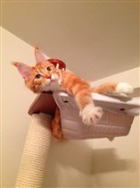 Дакота