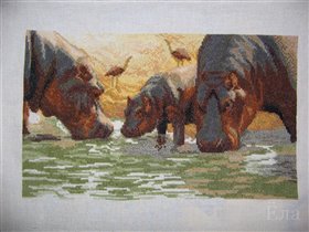 Чаривна мить Бегемоты