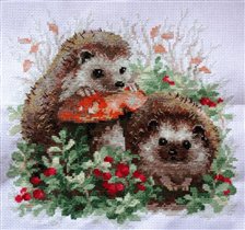 1469 - Риолис