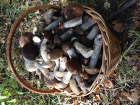 Какой чудесный день