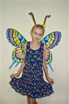 Настроение бабочки