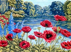 Early morning poppies - Elsa Williams