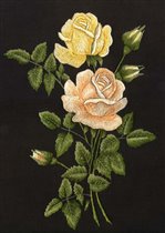 Бабушкины розы