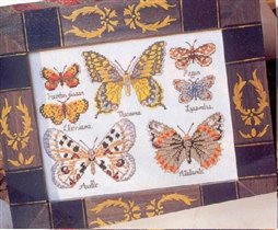 Butterfly Collection 