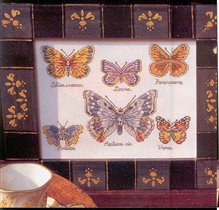 Butterfly Collection 