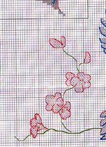 close up left of bird