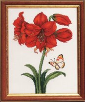 Red lilly