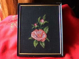 камелия стоянки 