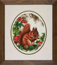 Squirrel (Anchor-PCE827)