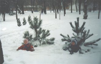 Зайчики под елочками