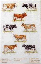 Cows Sampler (Permin 70-6413)