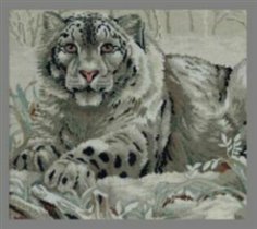 The Snow Leopard