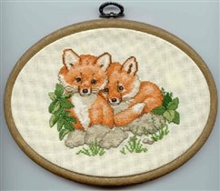 Red Foxes