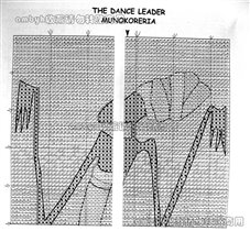Munokoreria-The dance leader/1