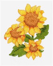 Подсолнухи