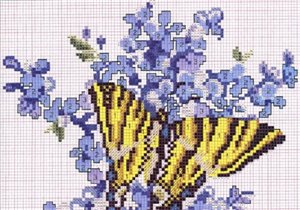 cn.Mariposa azul p1