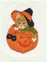 Cat in Pumpkin