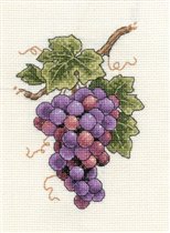 Grapes on Vine