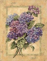 Elegant Hydrangeas