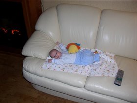 Вот как выглядят живые пупсики!