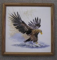 Eagle in Flight  (Heritage) 