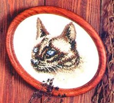 Девочка-сиамка.