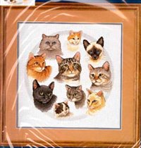 Кошачьи мордочки.