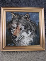 Волк от Dimensions (needlepoint)