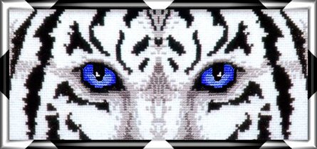 047. Глаза белого тигра
