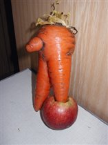Морковка с родительского огорода