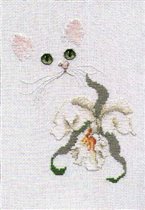 57. Harrison Orchid Cat
