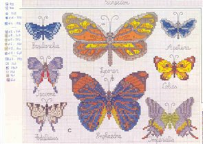 Butterflies chart