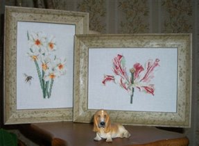 Tulip&Daffodils, Thea Gouverneur