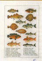 70-6408 fish sampler
