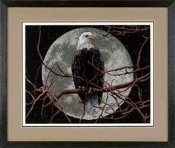 Eagle in moon