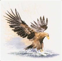 Heritage - eagle in flight