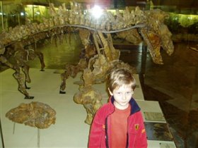 в палеонтологическом музее