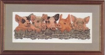 Pigs in line