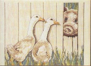 Pig and geese