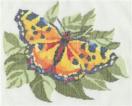 изнанка бабочки