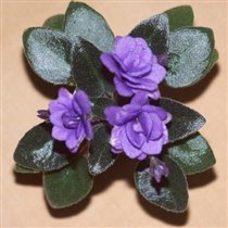 Неправильная Ramblin Magic